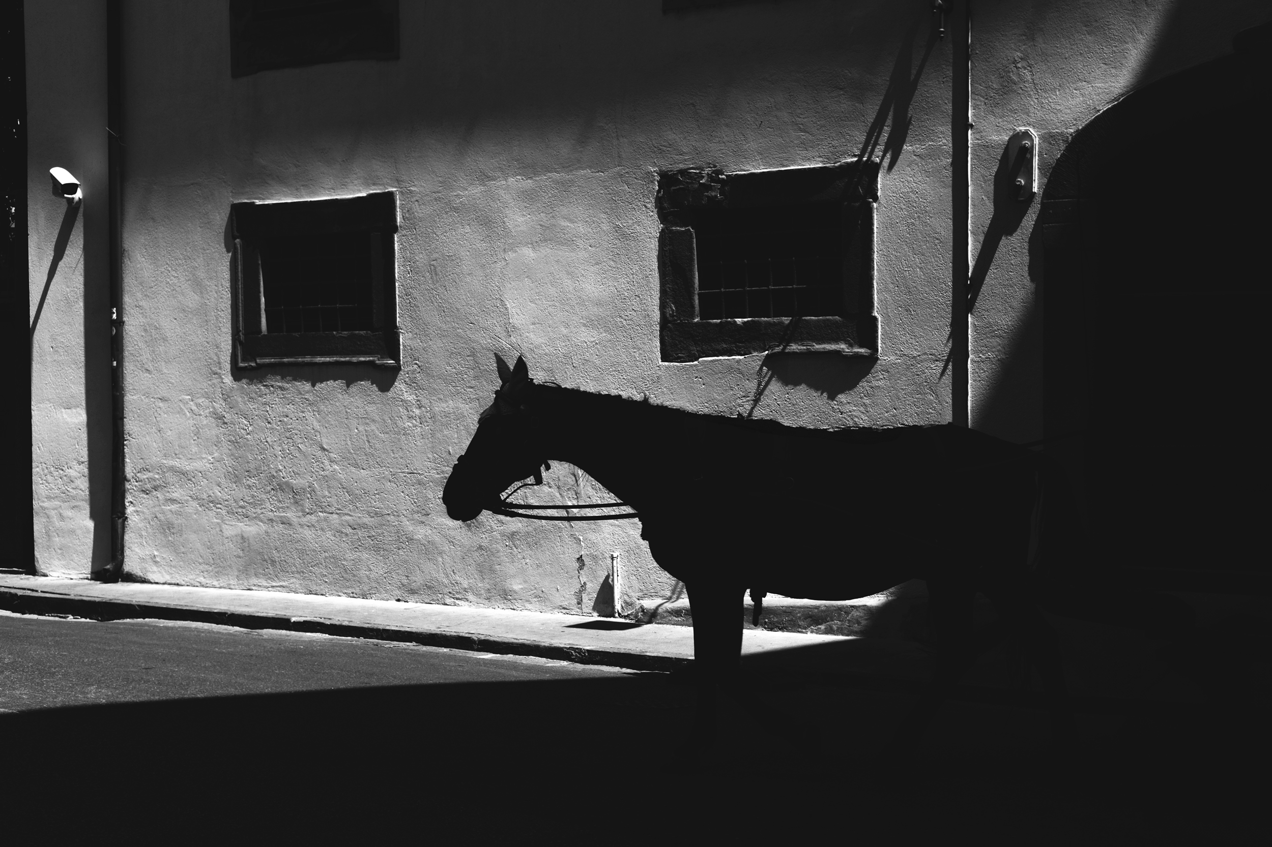 Light in Photography