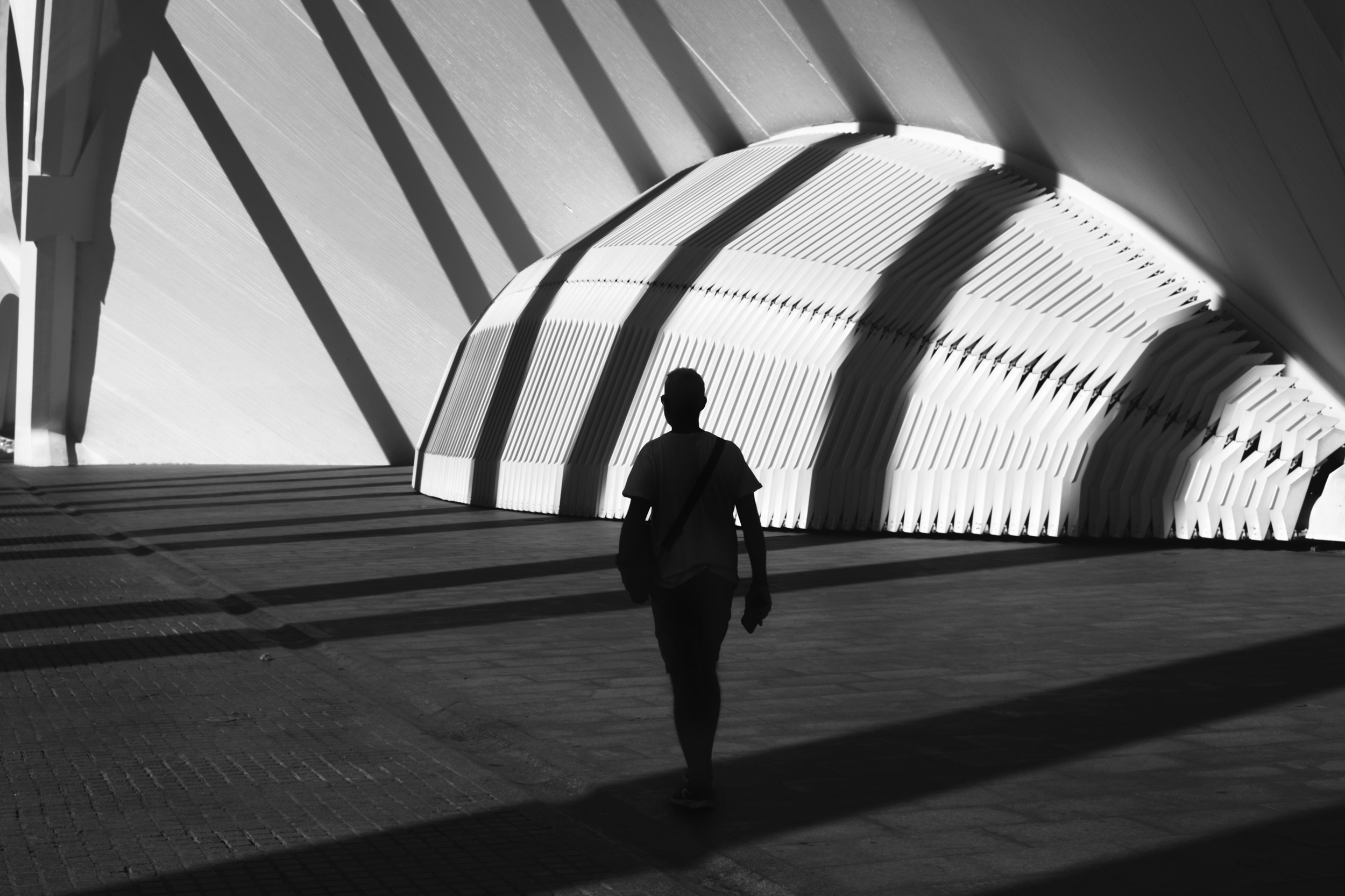 il taglio in fotografia