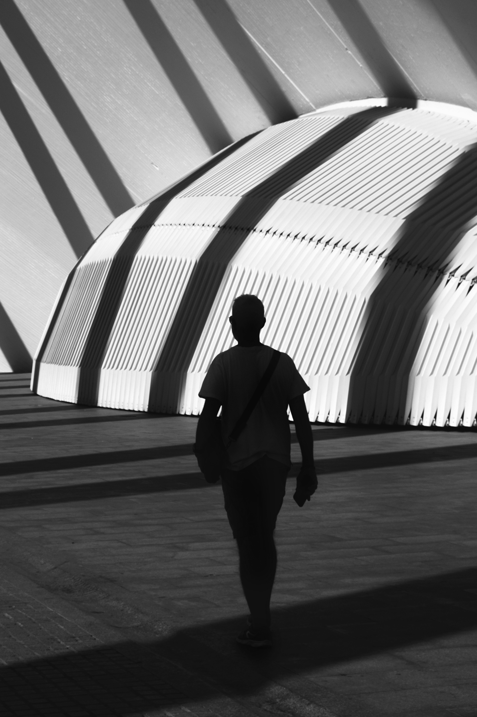 il taglio in fotografia