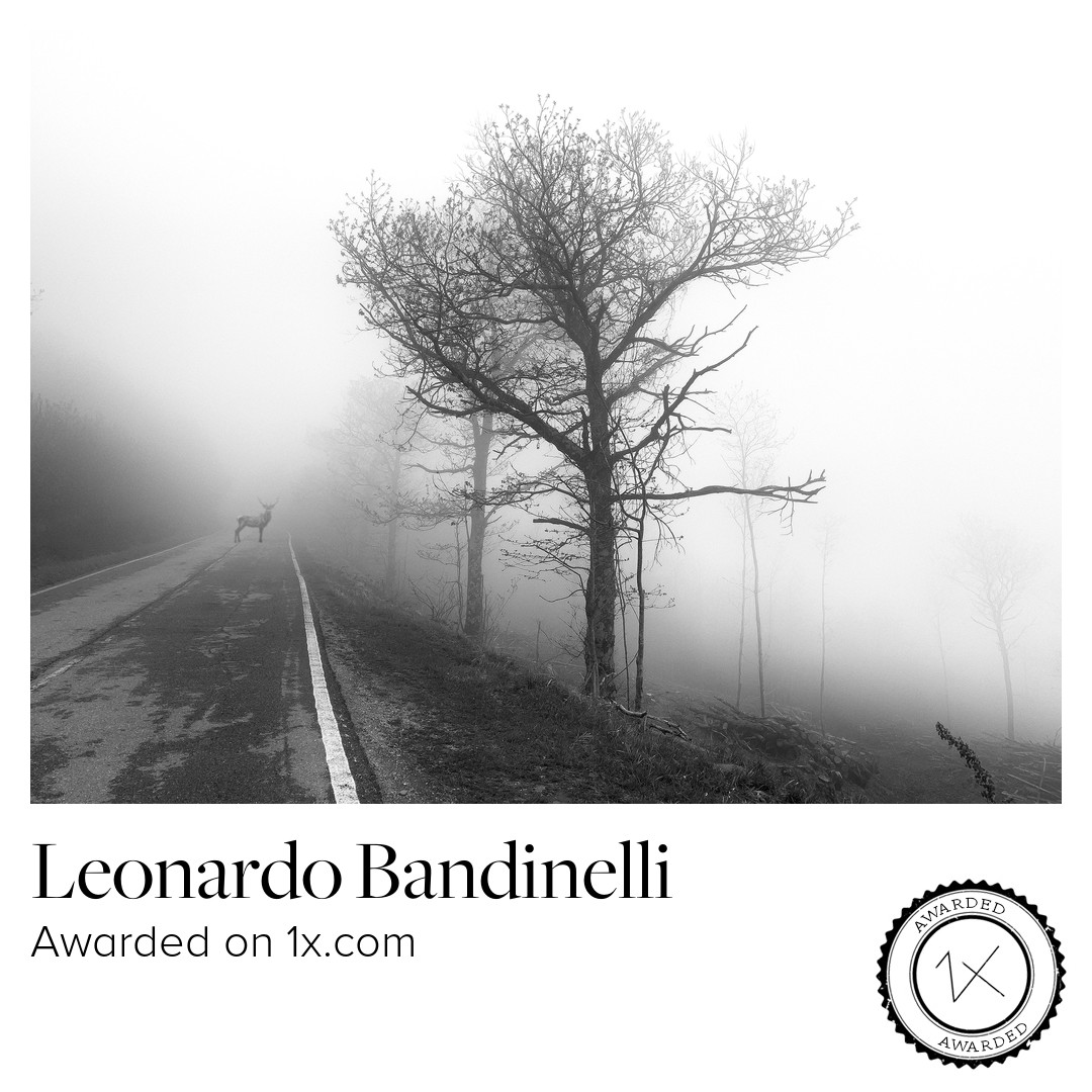 La perfezione in fotografia