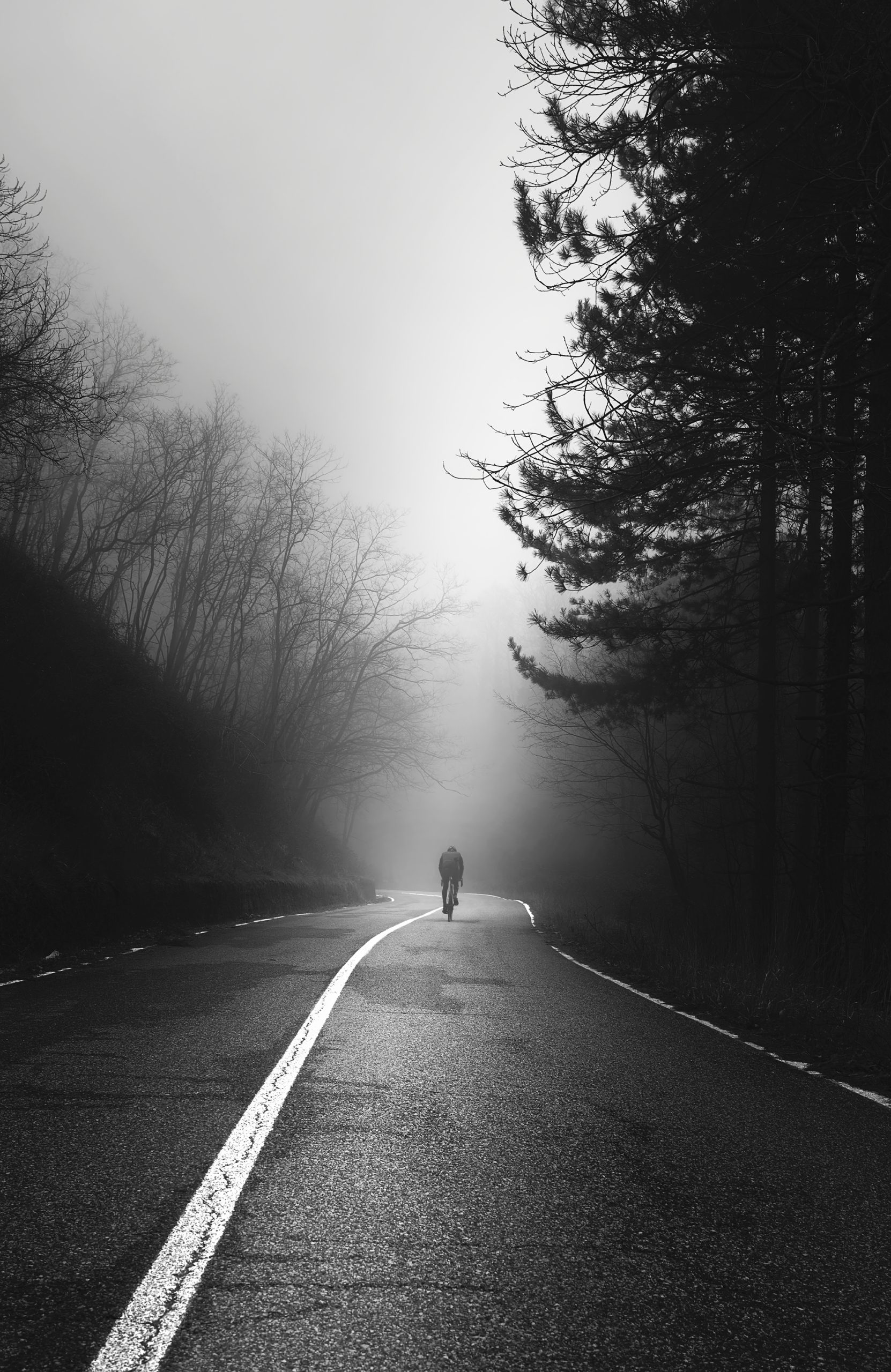 Leonardo Bandinelli portrait